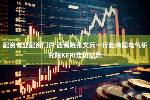 配资专业配资门户 西高院张文兵一行赴韩国电气研究院KERI走访交流
