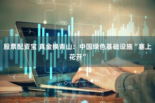 股票配资宝 真金换青山：中国绿色基础设施“塞上花开”
